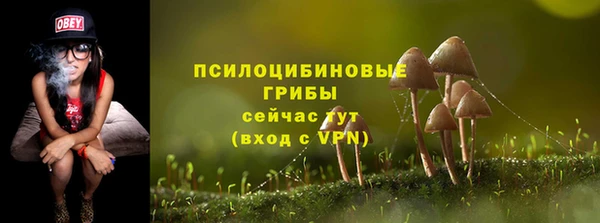 метадон Богданович