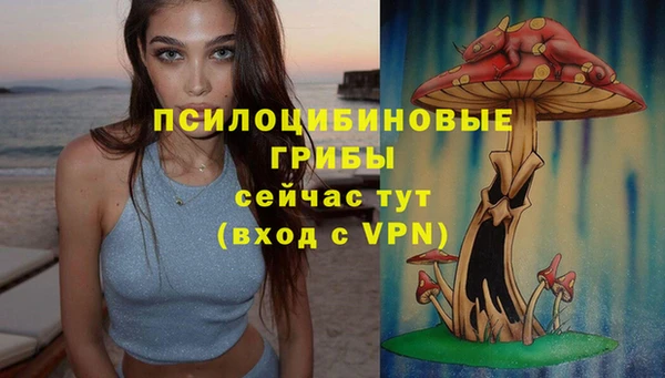 mix Богородицк