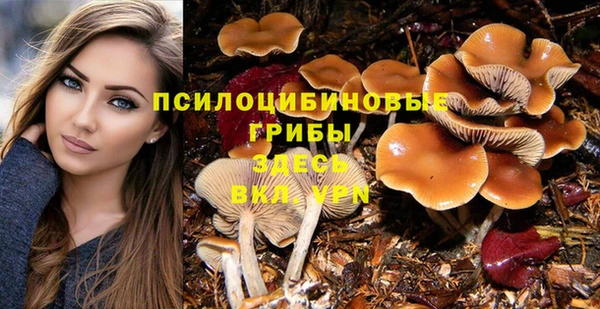 mix Богородицк