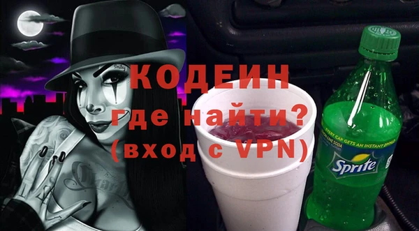 метадон Богданович