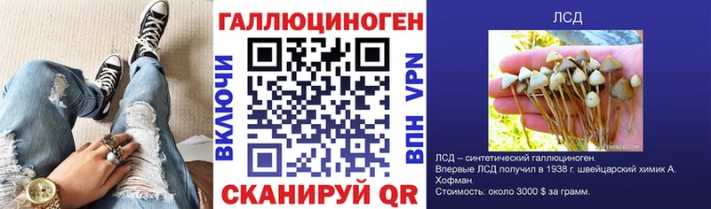 Псилоцибиновые грибы Cubensis  где найти   Тогучин 