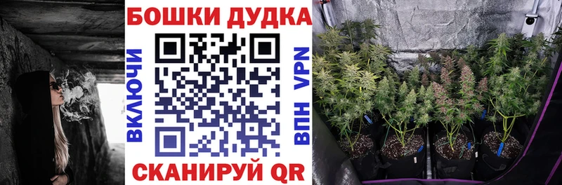 Каннабис AK-47  дарнет шоп  Тогучин 